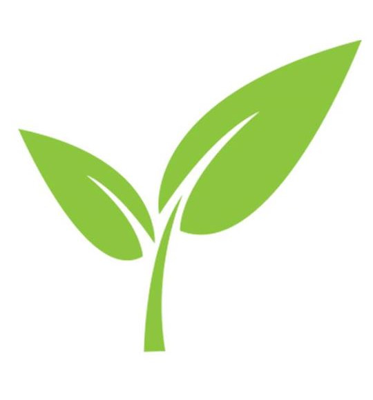 Kotły CO, Piece CO – KOTŁOPLAZM –